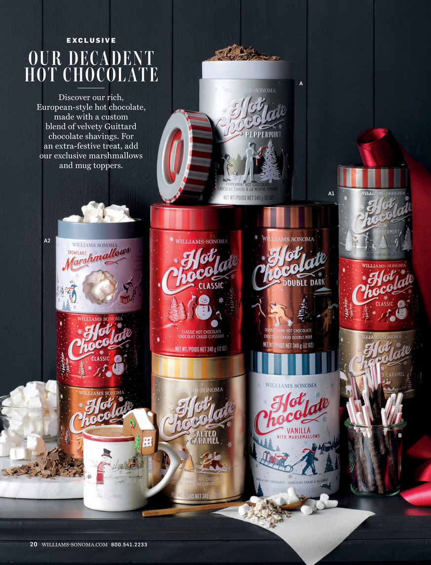 Ceramic Hot Chocolate Pot w/Frother William Sonoma Batteries Included Heavy