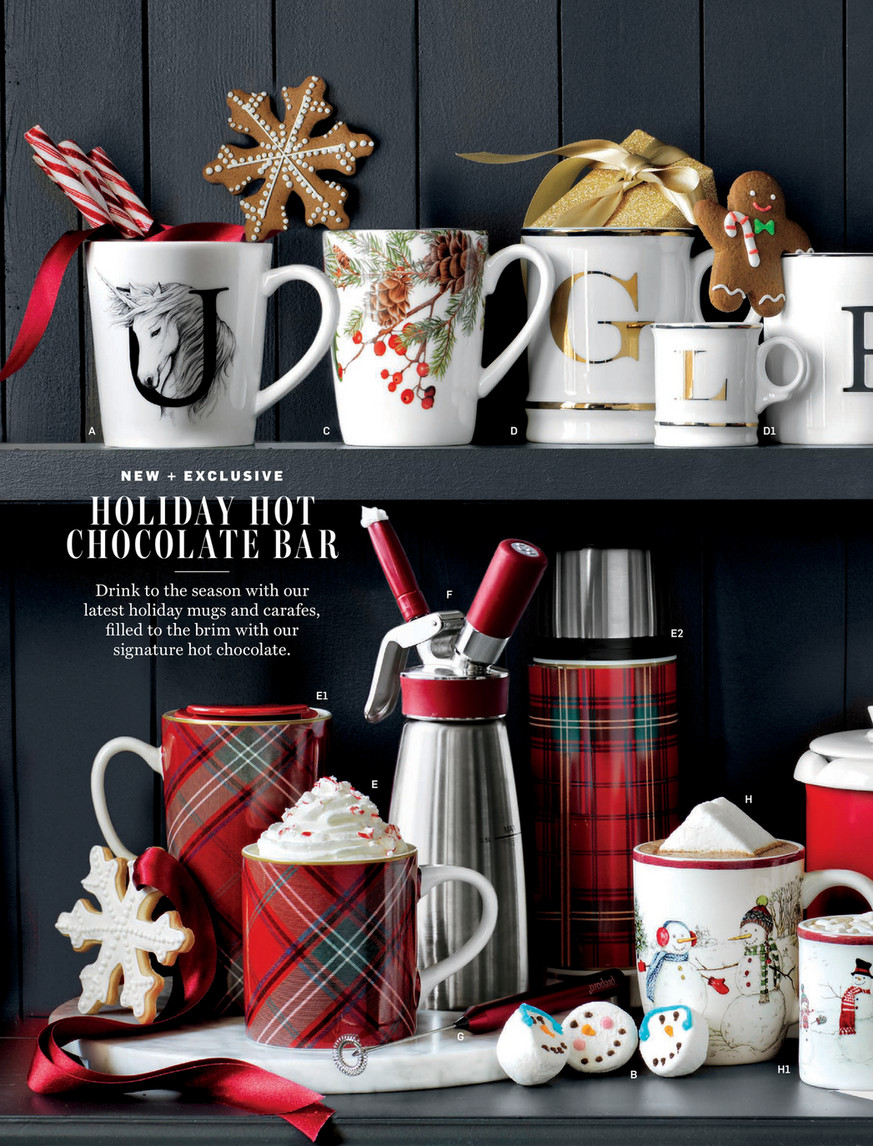 Williams - Sonoma Froth & Pour Hot Chocolate Pot (Red) 32 oz.