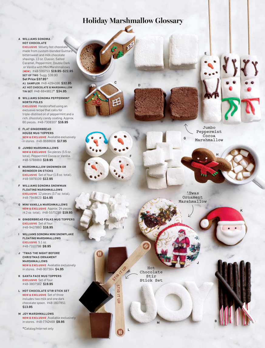 Williams Sonoma Classic Gourmet Hot Chocolate