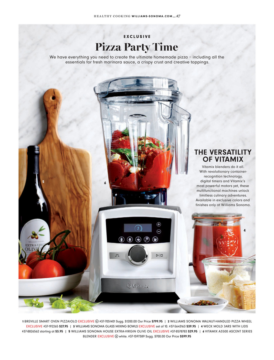 Williams top sonoma vitamix