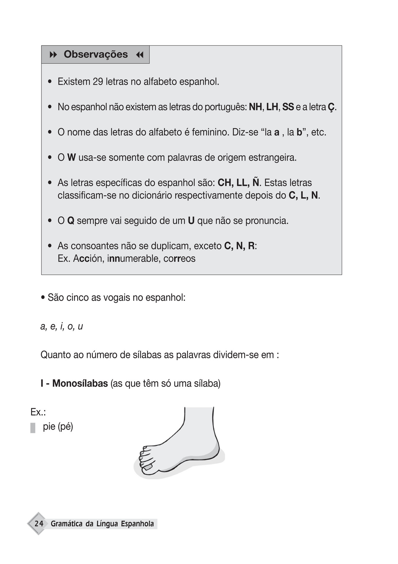 Palavras Em Espanhol Iniciadas Com A Letra N