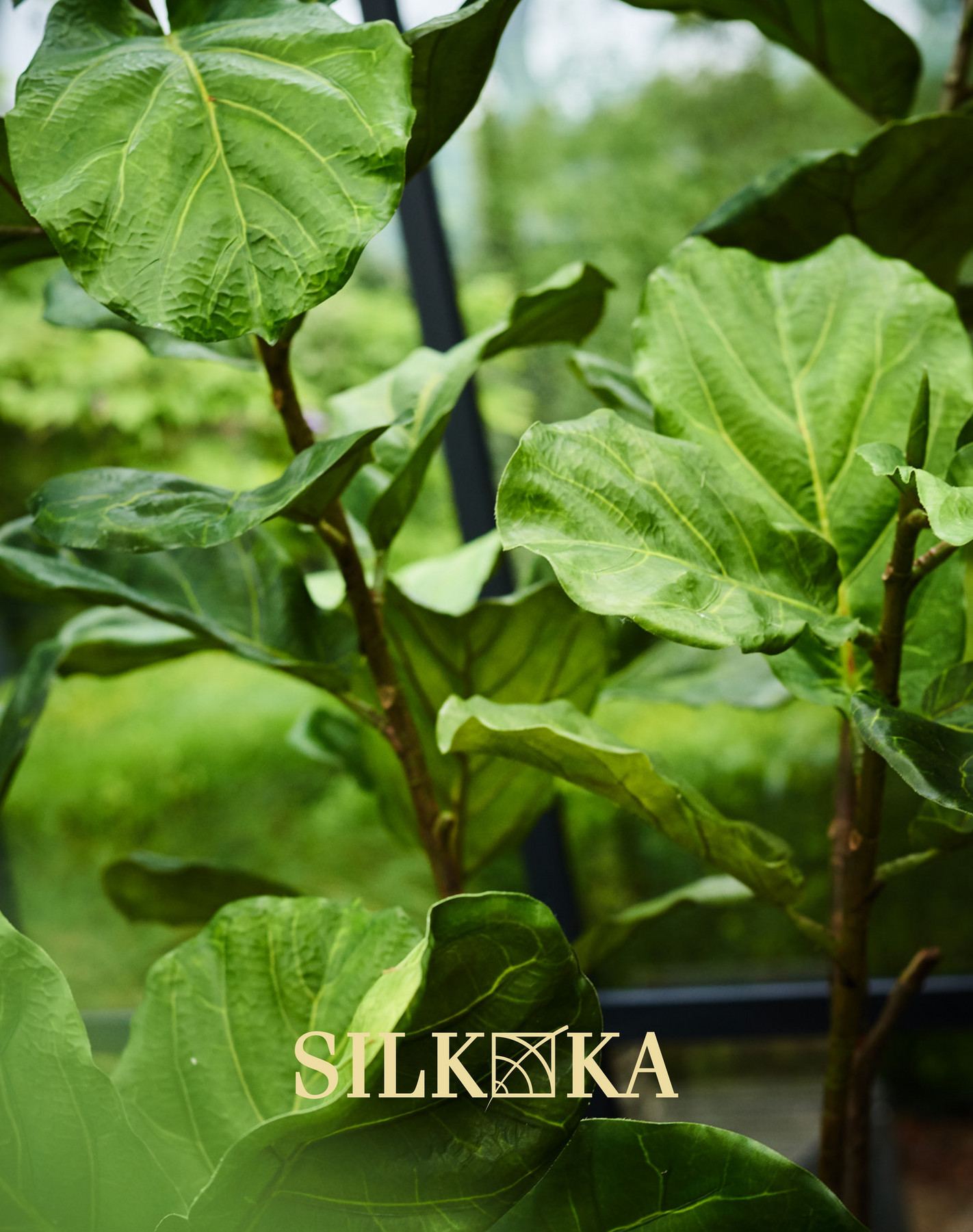 OROA Silkka Plants & Trees for life Volume 2 Page 1 Created