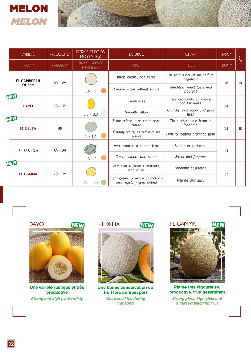 Agrinova Co Technisem Catalog Page 32 33 Created With Publitas Com