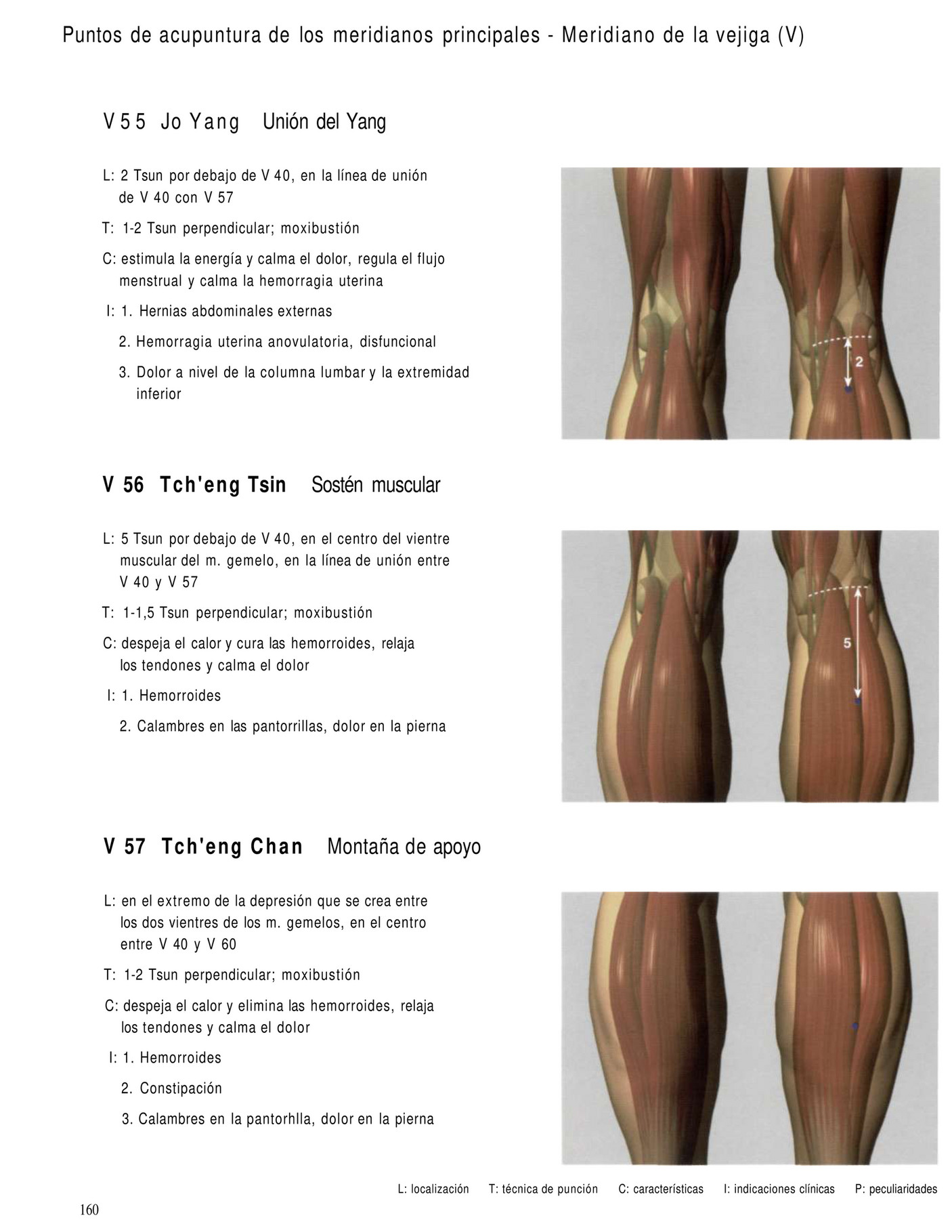 Rls dolor de rodilla