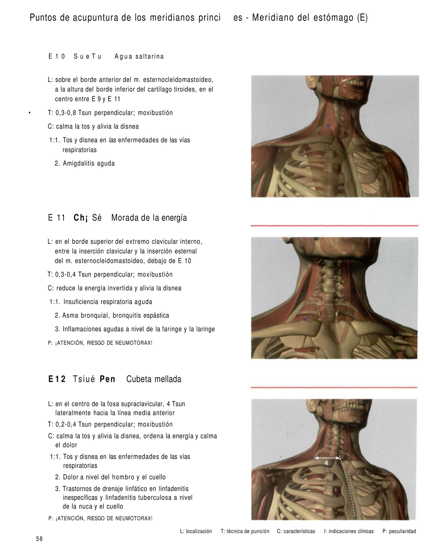 puntos acupunturales para asma bronquial