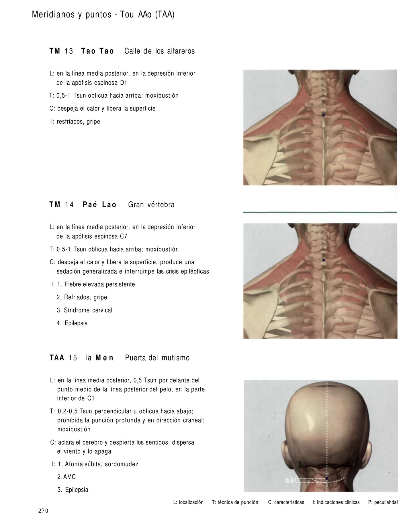 MASTERMEDIA Intl., Inc. - Atlas-de-Acupuntura - Page 264-265
