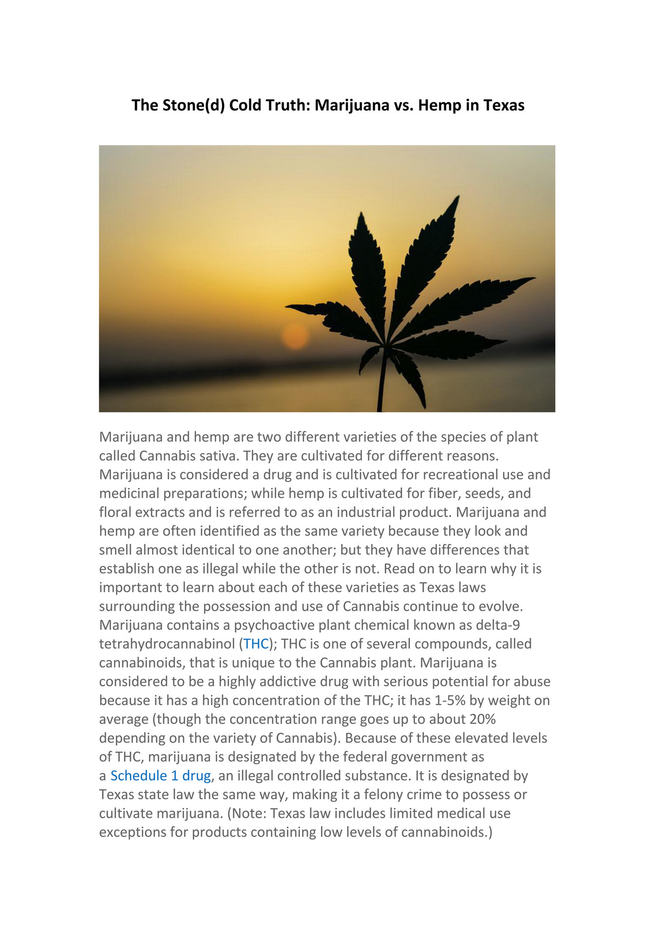 My publications The Stone(d) Cold Truth Marijuana vs. Hemp in Texas