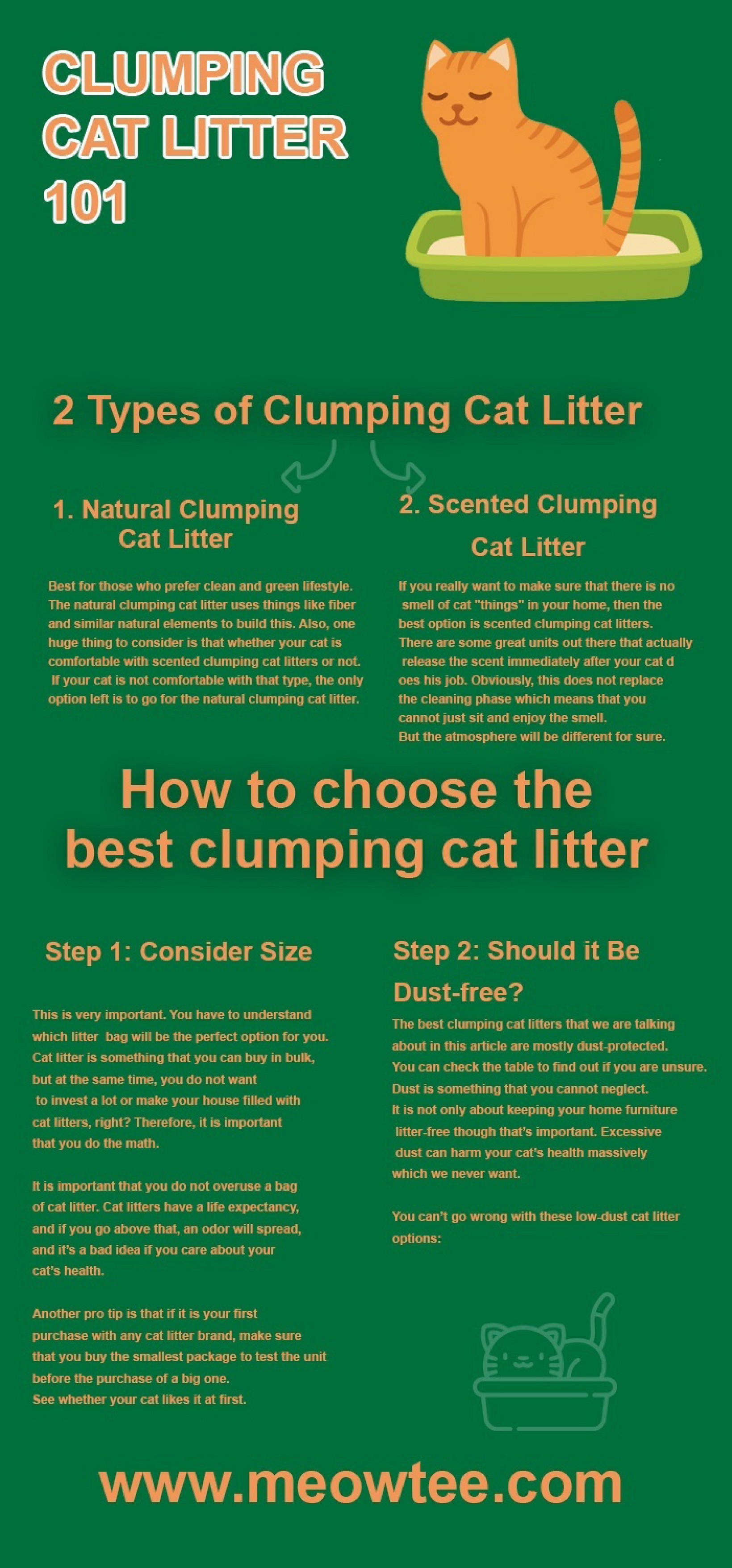 cat litter 101