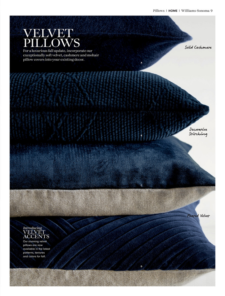 Williams Sonoma Home Style In Color 2016 Solid Cashmere Pillow