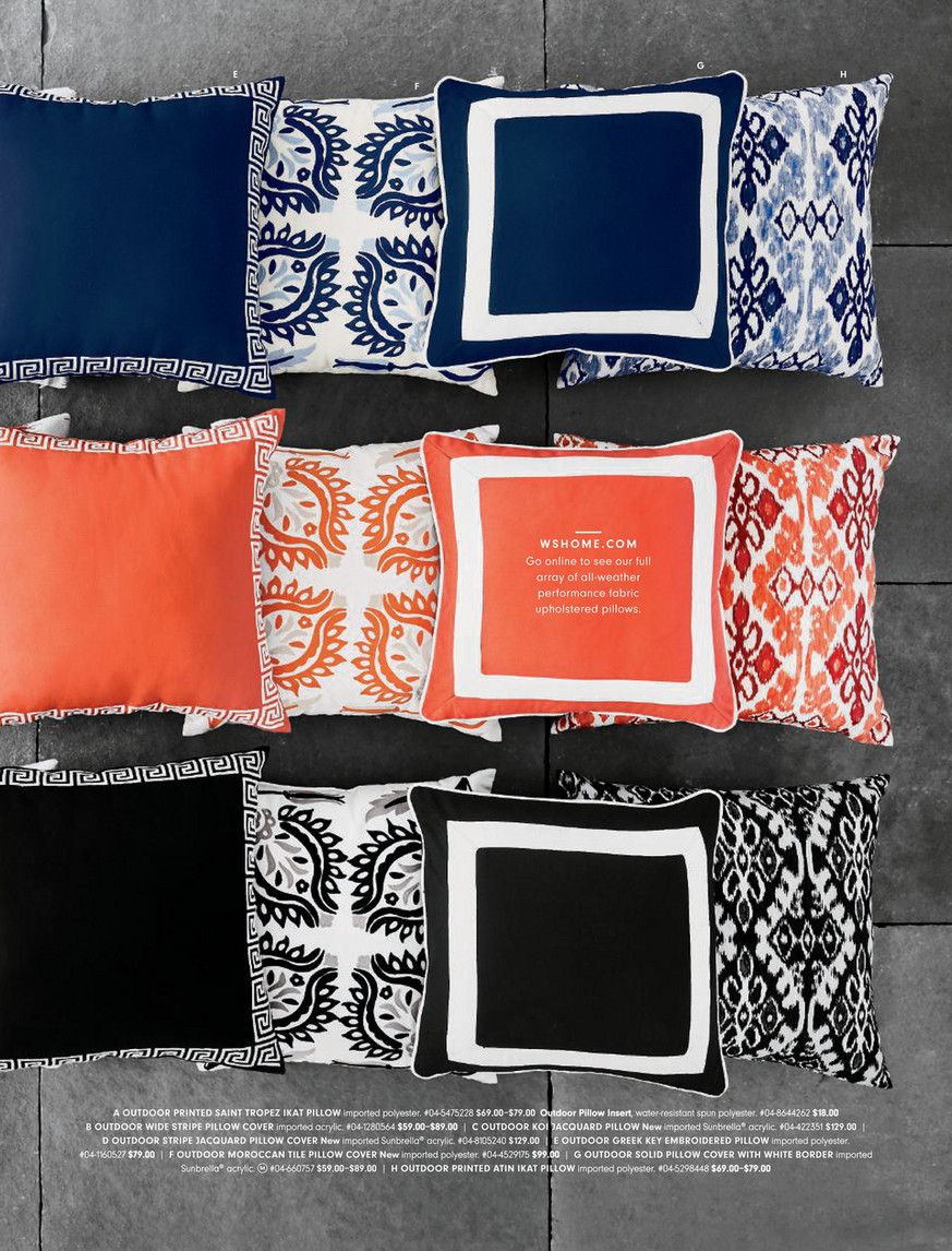 Williams sonoma hotsell outdoor pillows