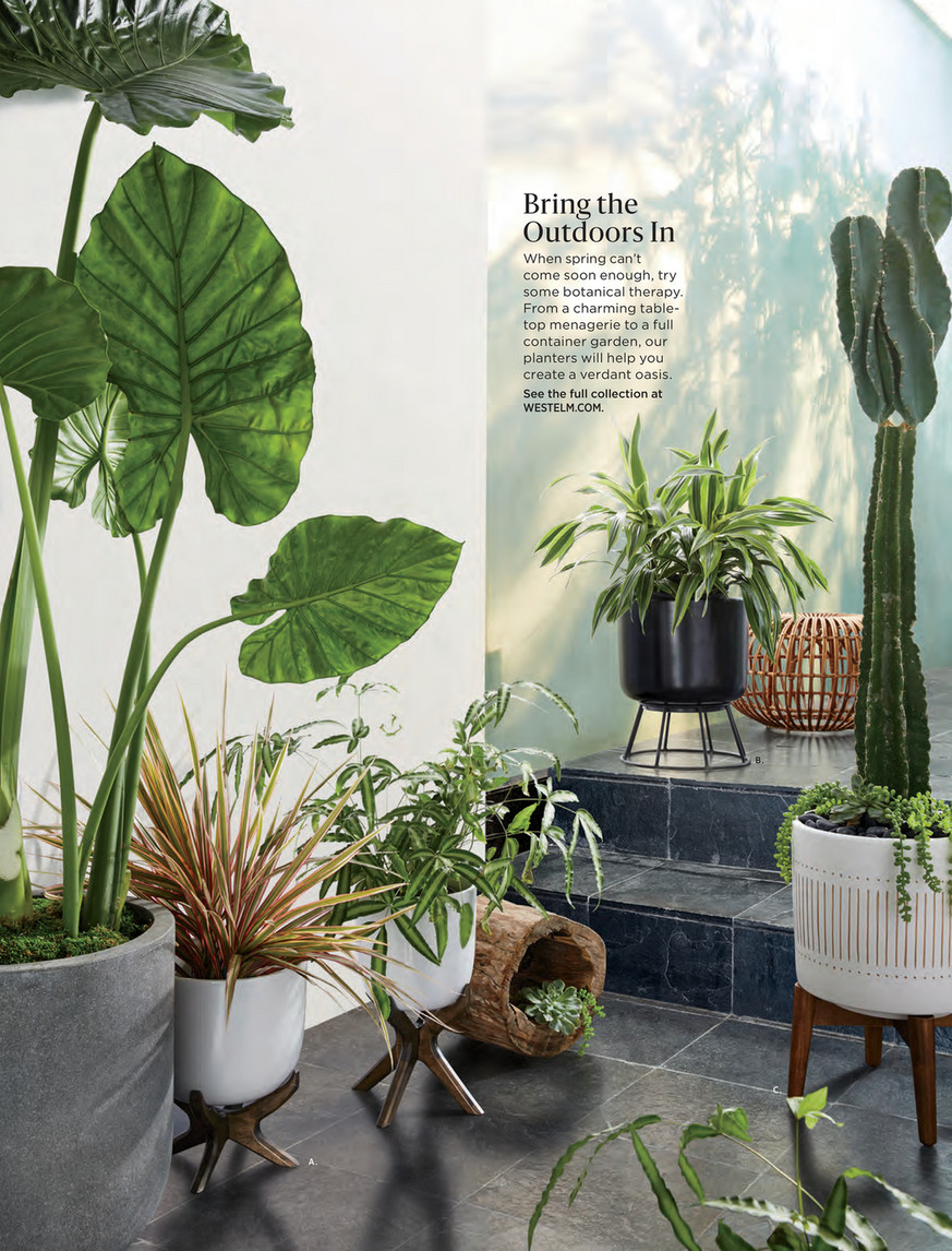 west elm - February 2018 - Ceramic Llama Planter, Large