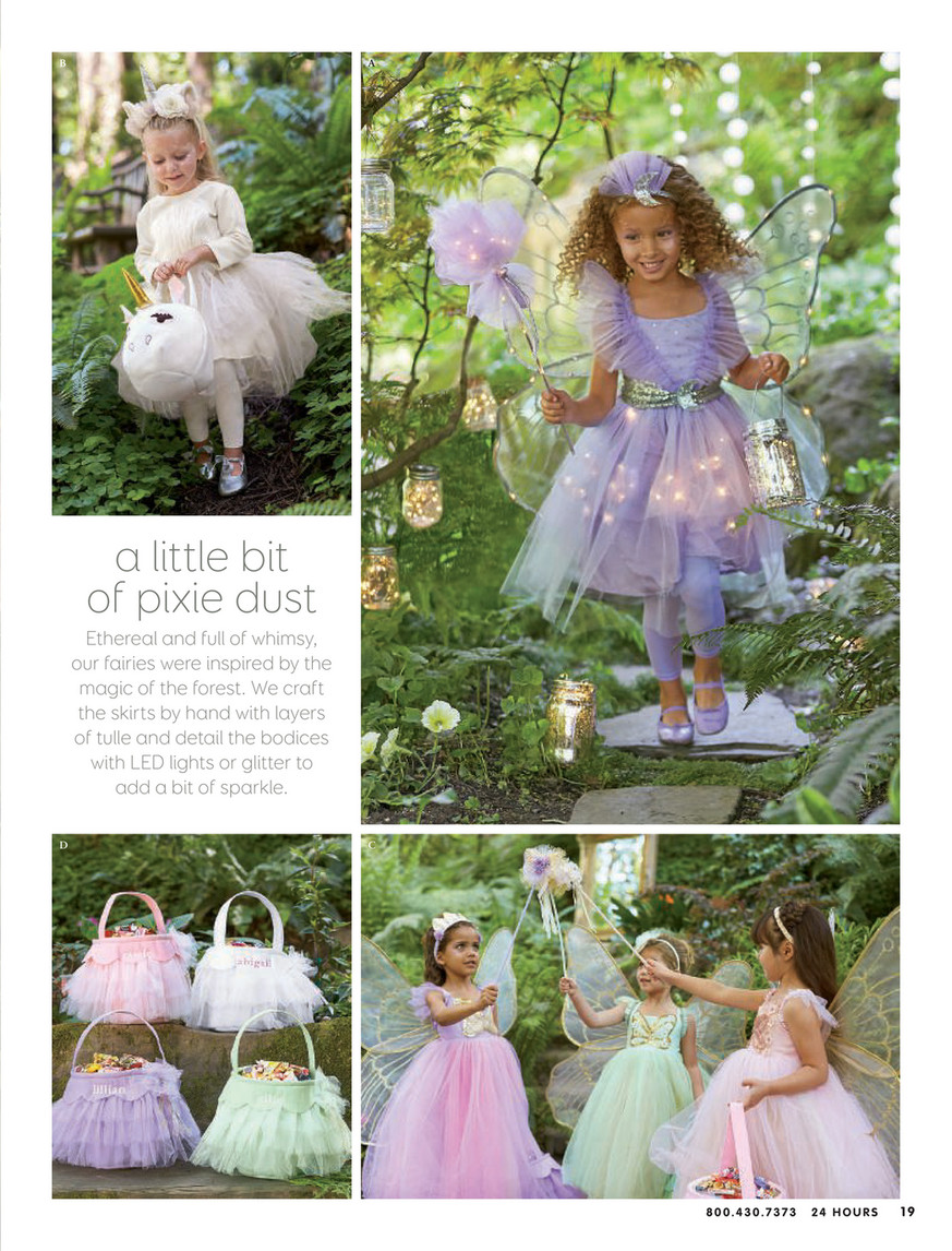 Pottery Barns Kids Light-up store Fairy Costume