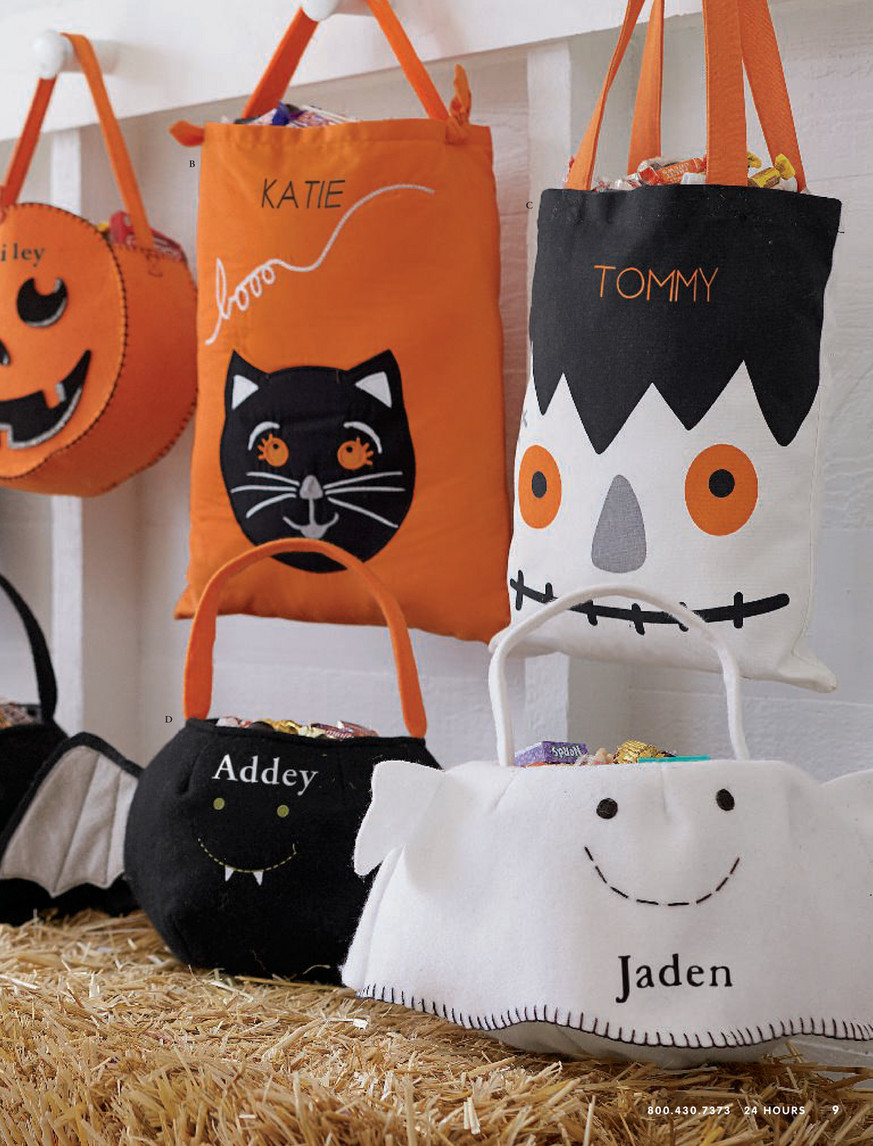 Pottery Barn Kids (PBK) - October 2017 - Baby Woodstock Costume