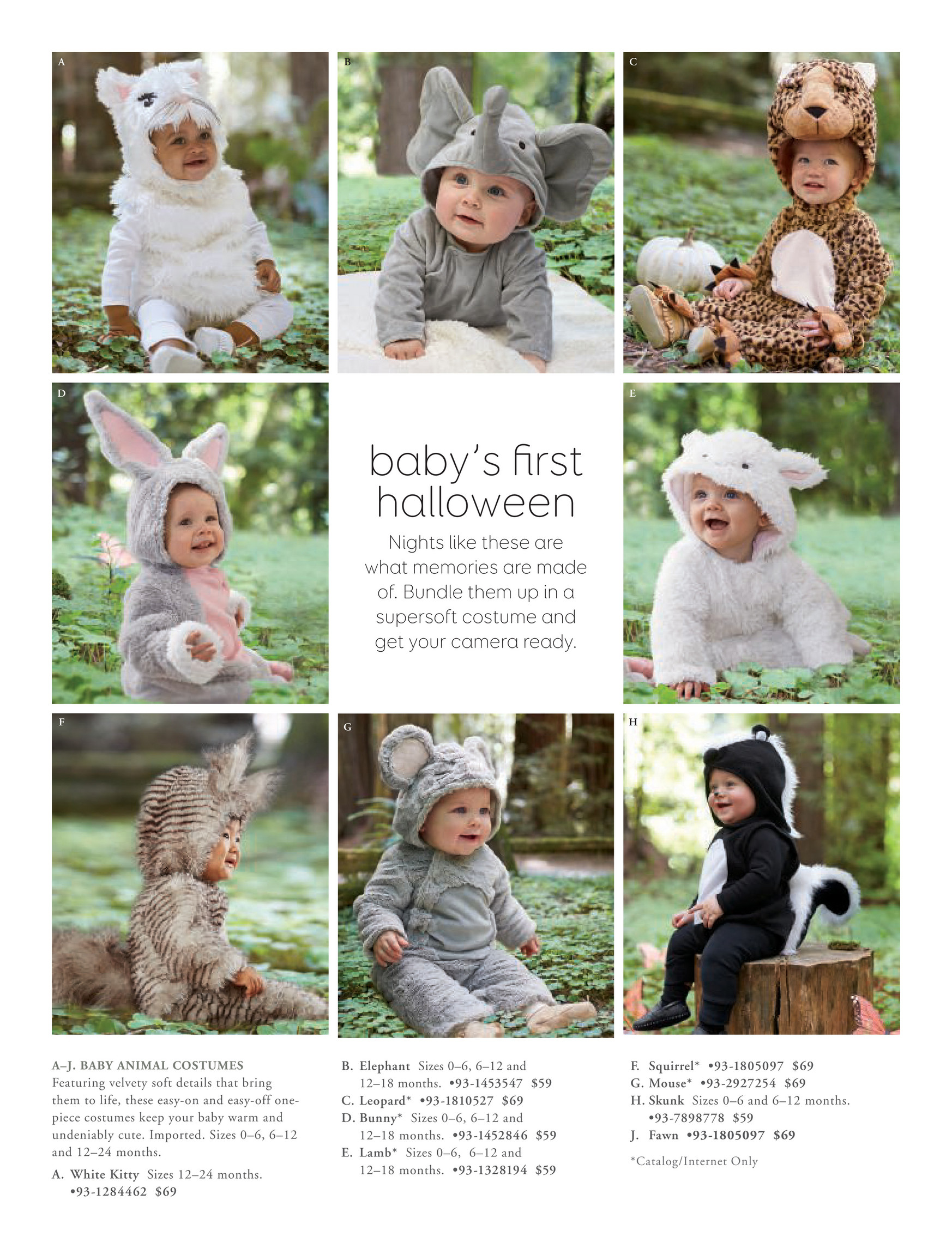 pottery barn squirrel costume