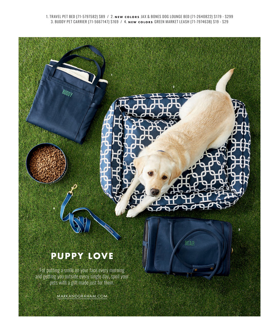 Mark & Graham - Summer 2020 - Buddy Pet Carrier, Medium, Navy Nylon