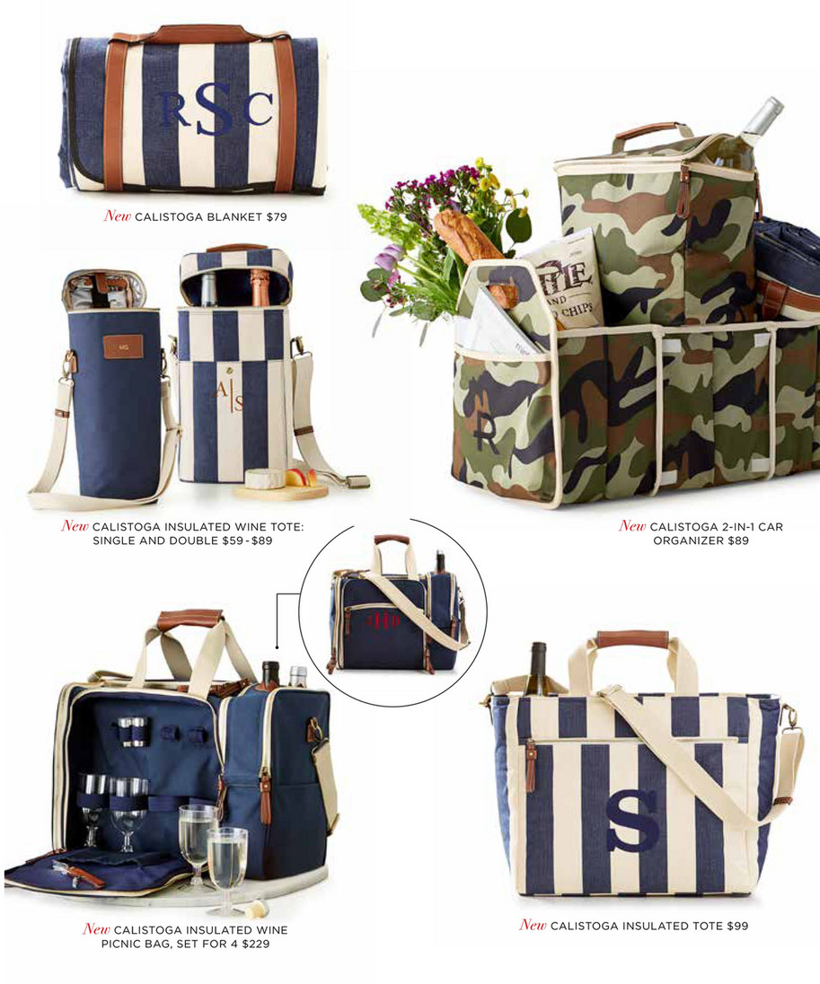 Calistoga Insulated Wine Picnic Bag - Set for 4