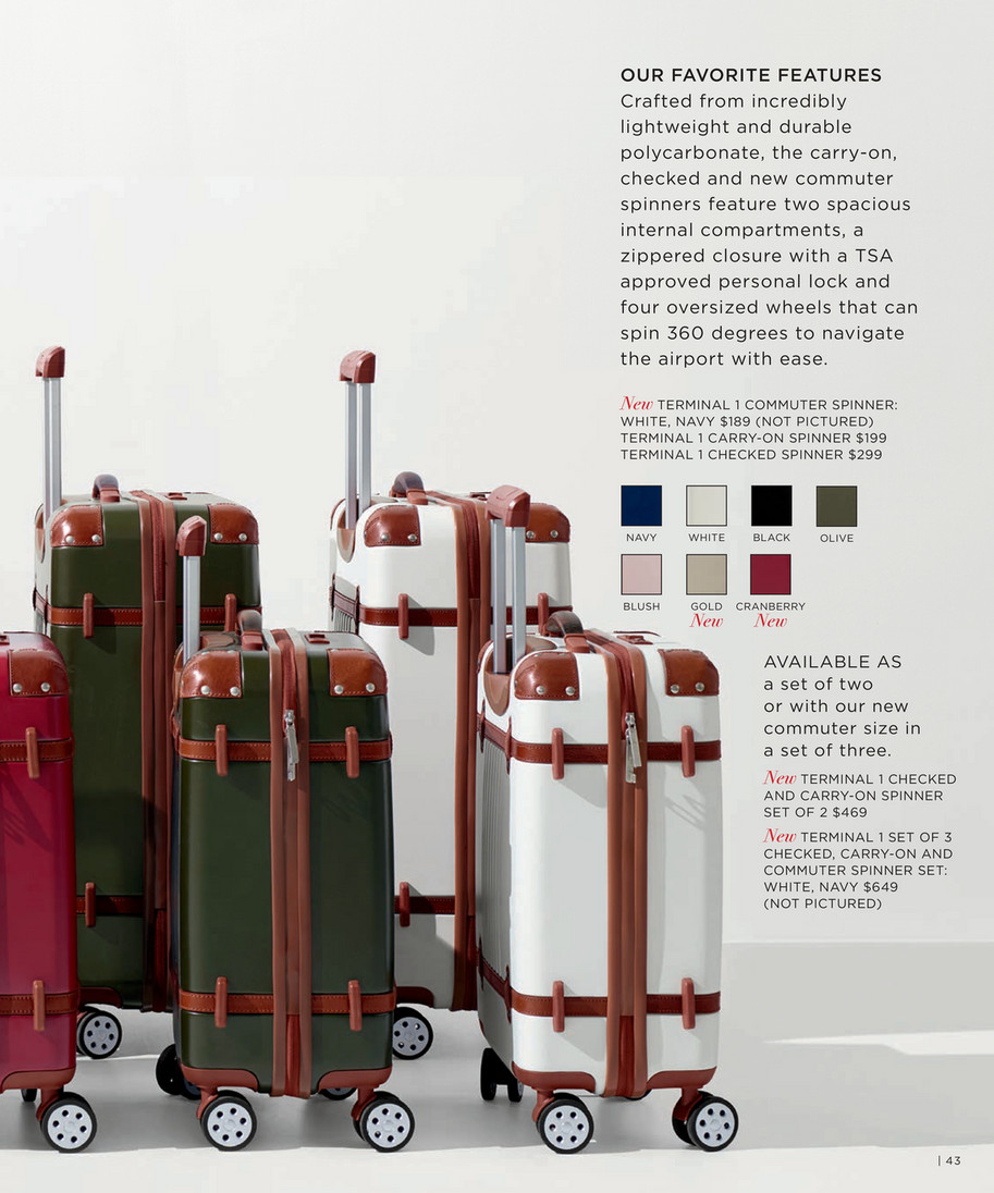 terminal 1 carry on luggage