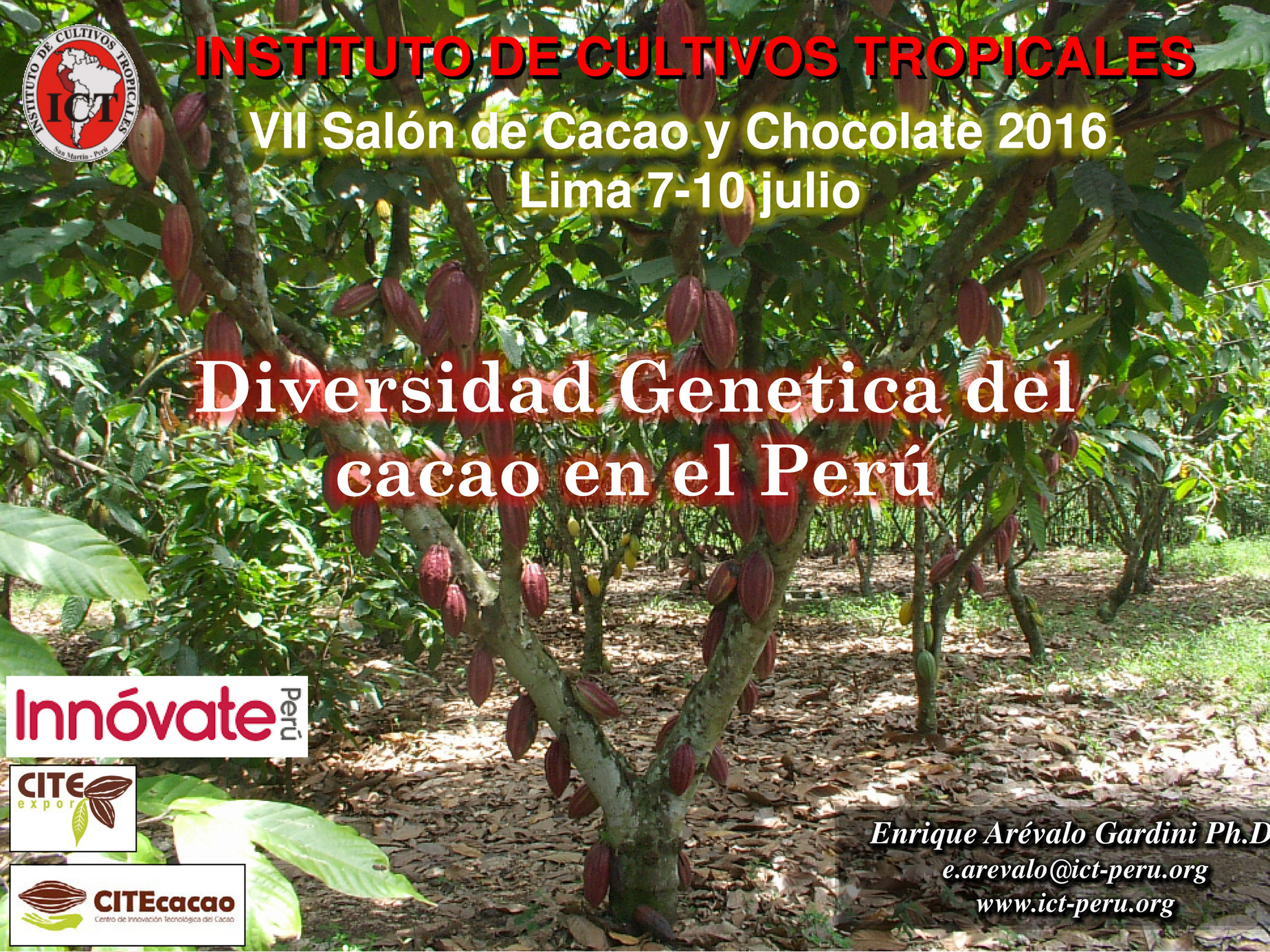 Diversidad Genética del Cacao y Perfiles de Aroma en el Cacao Peruano