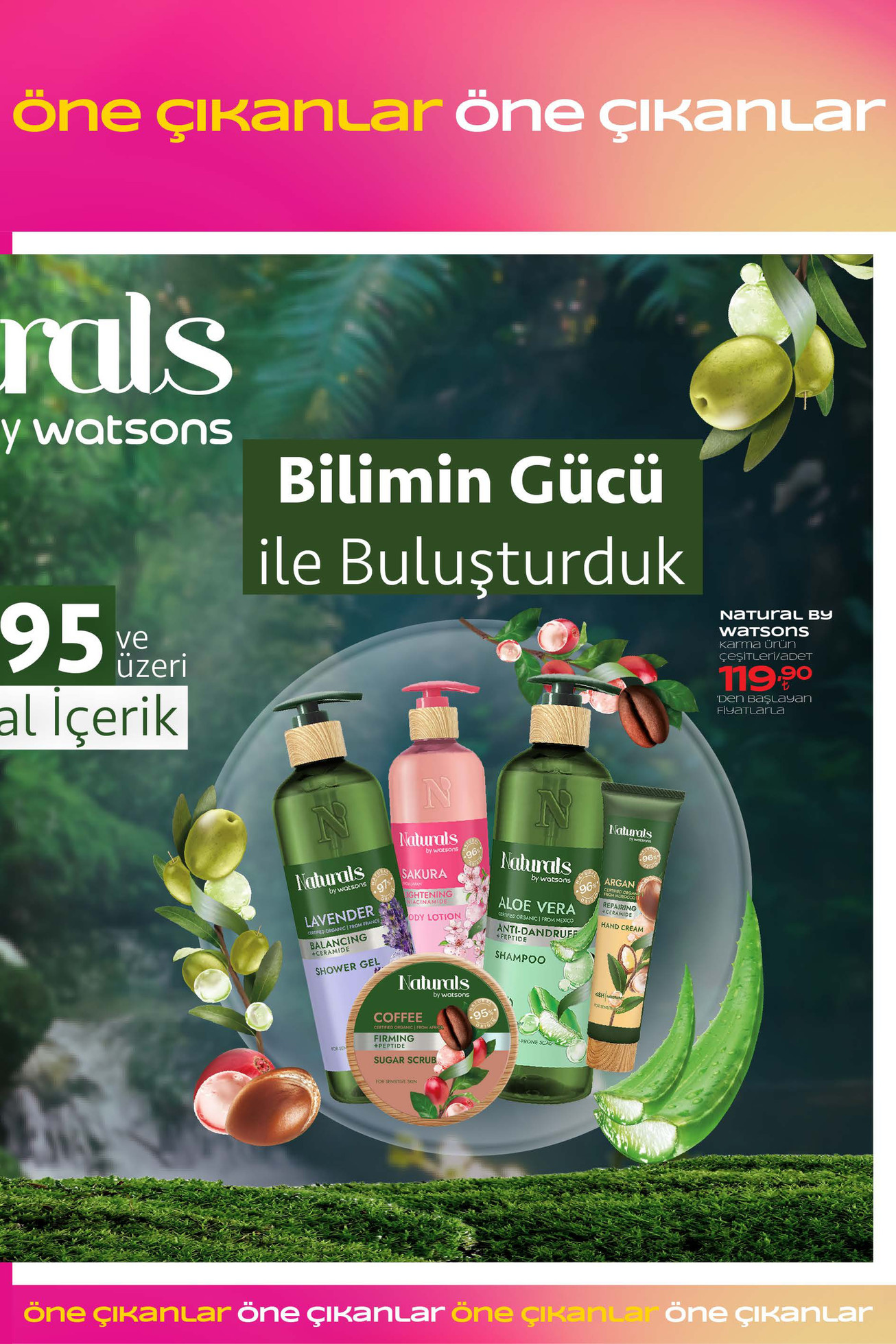 Watsons Ağustos Kataloğu - Sayfa 39