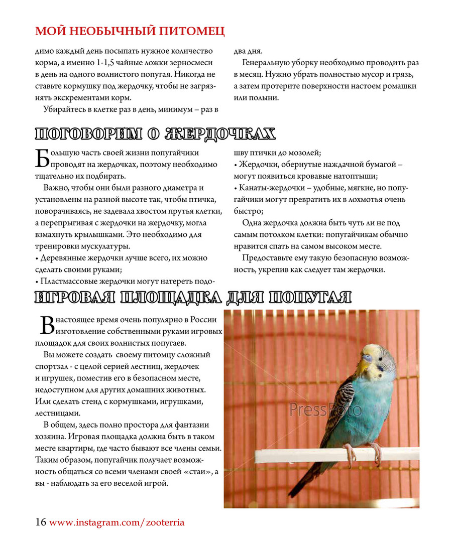 ZOOTERRIA media - ZOOTERRIA #2 - Страница 18-19 - Created with @Publitas