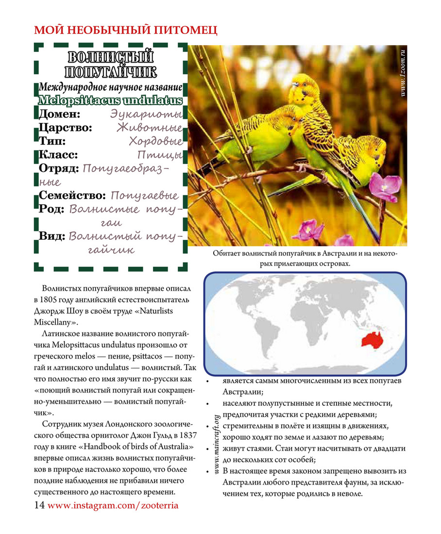 ZOOTERRIA media - ZOOTERRIA #2 - Страница 14-15 - Created with @Publitas