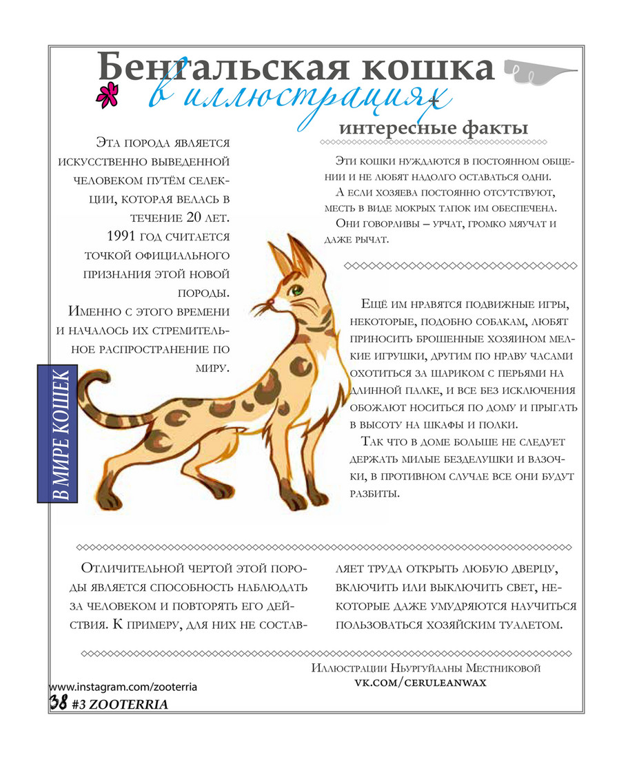 ZOOTERRIA media - ZOOTERRIA #3 - Страница 38-39 - Created with @Publitas