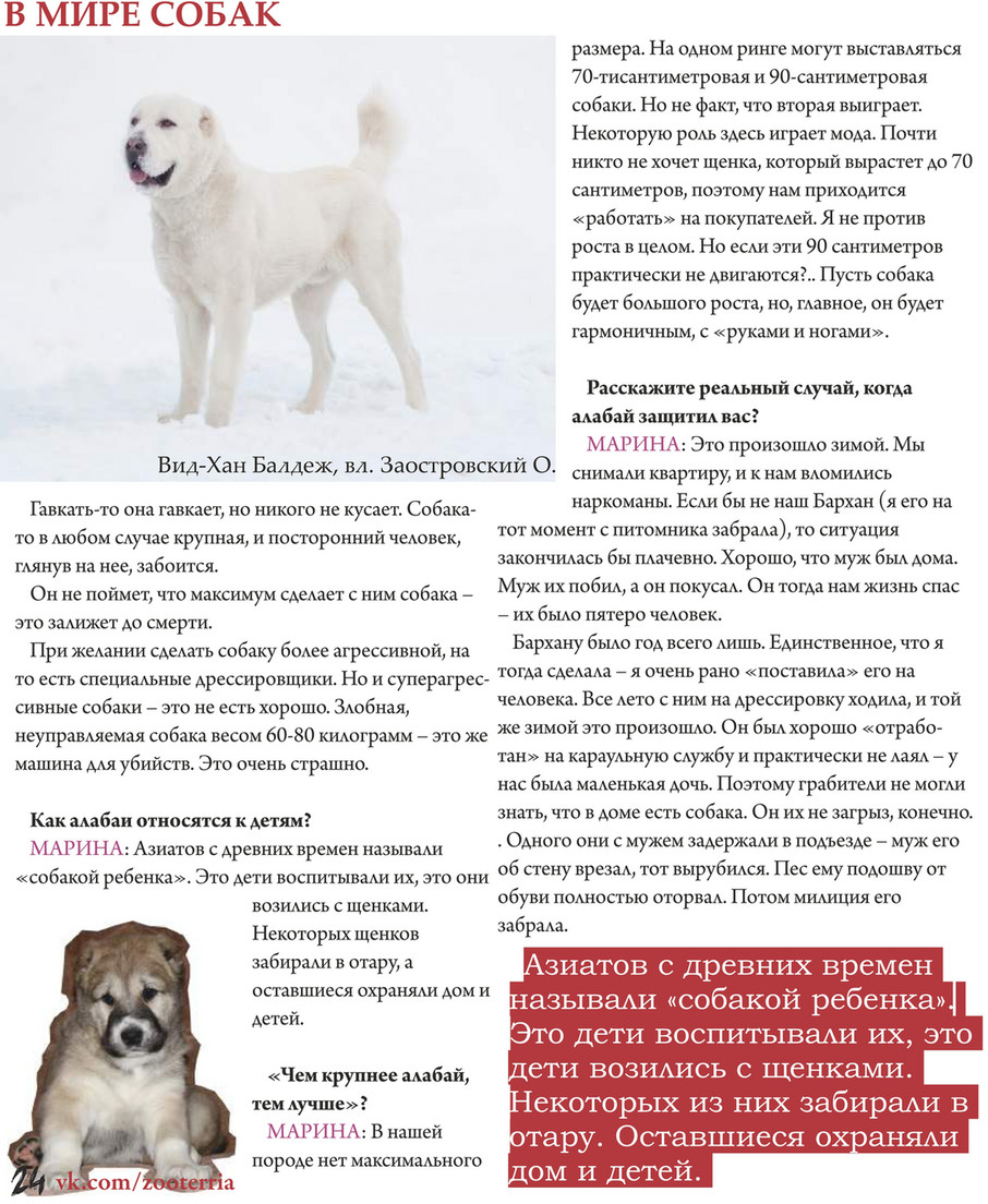 ZOOTERRIA media - ZOOTERRIA #1 - Страница 24-25 - Created with @Publitas