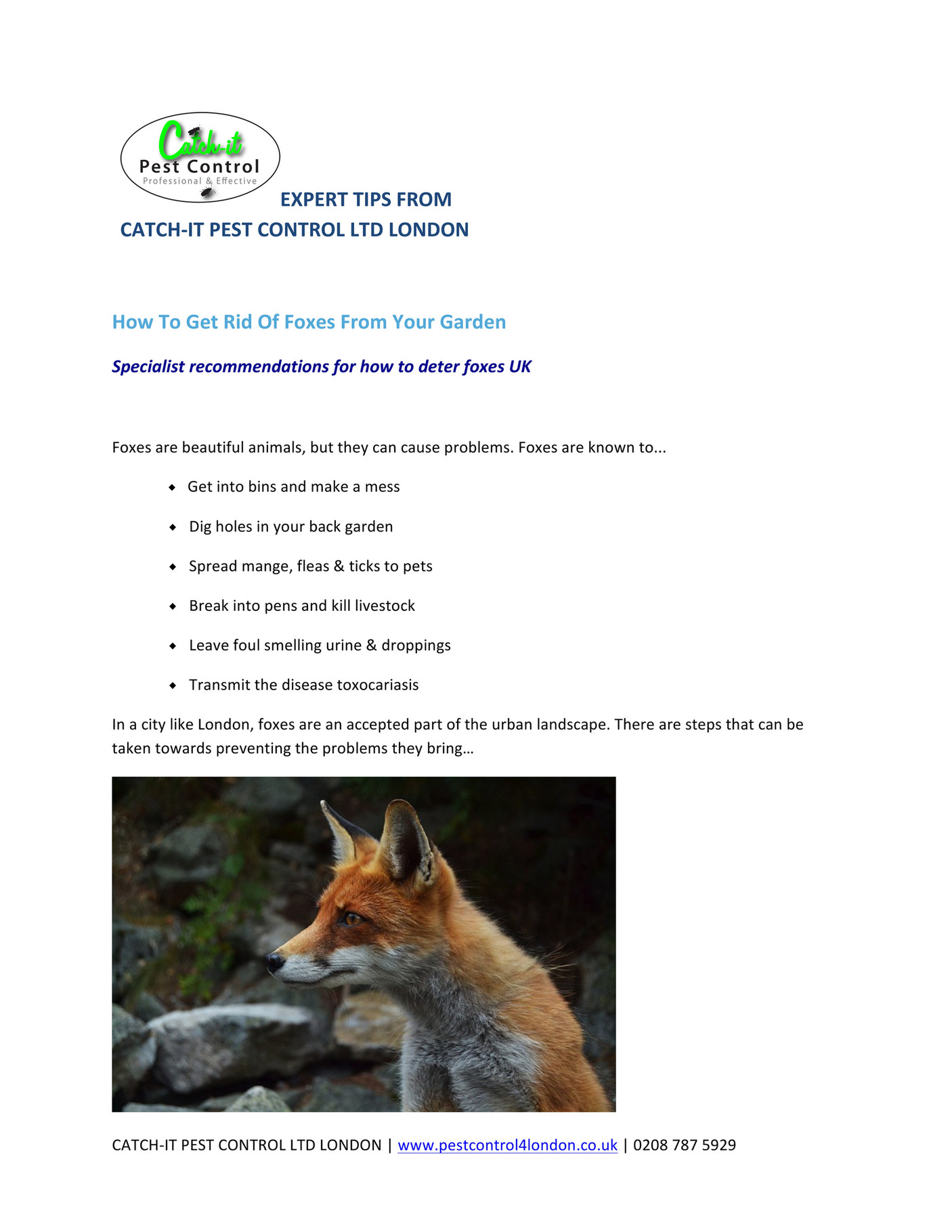 My Publications How To Get Rid Of Foxes From Your Garden Page