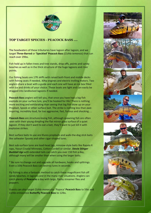 My publications THE AMAZON ANGLER HOUSEBOAT