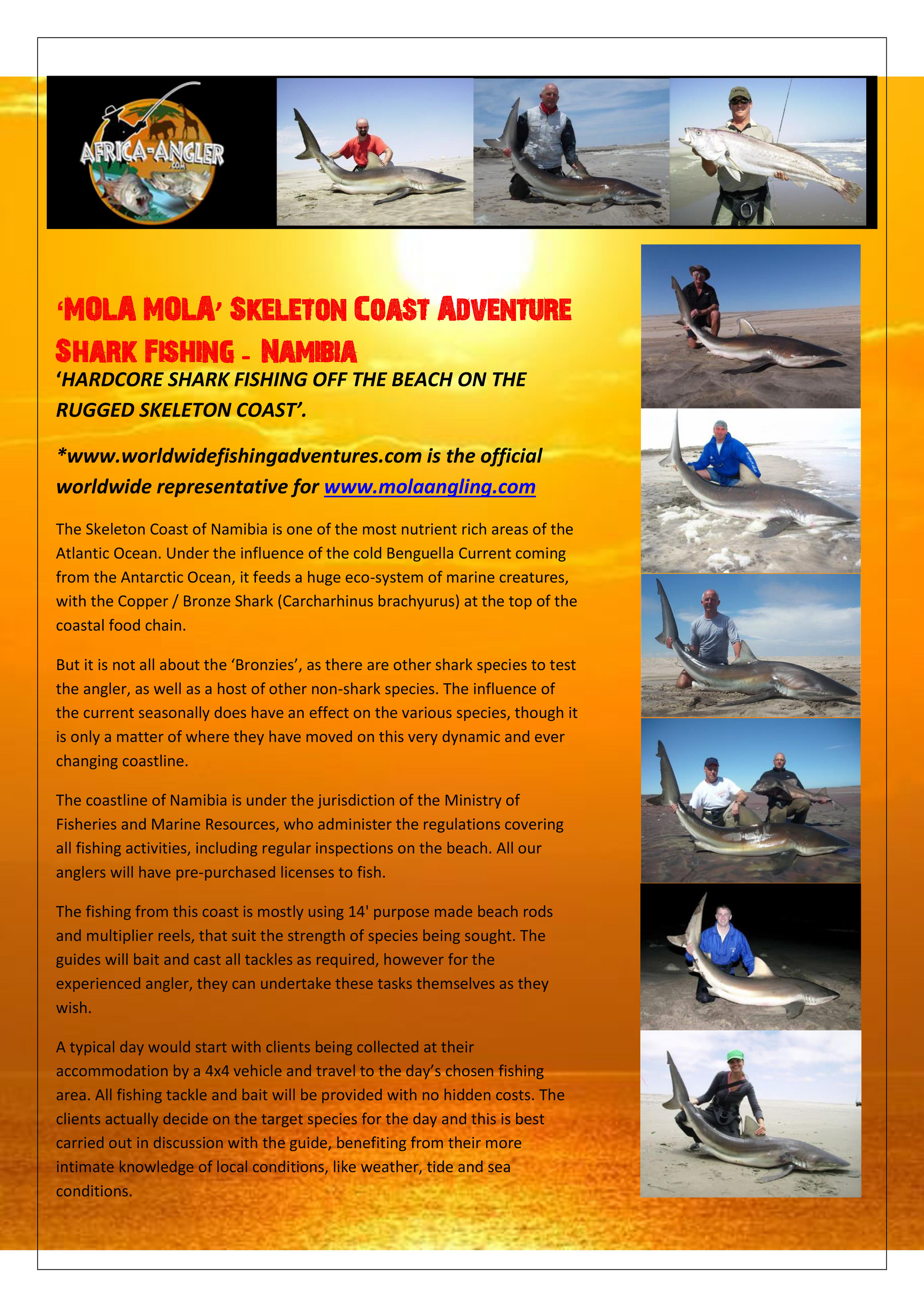 shark fishing gear for beach