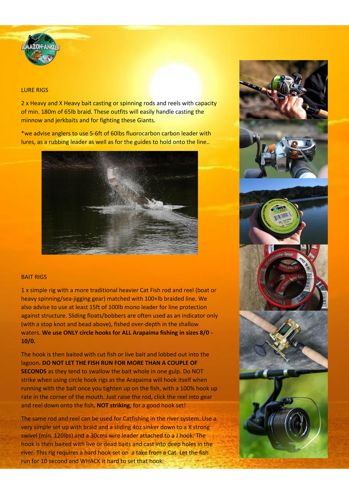 My publications - ARAPAIMA - TACKLE TALK, GEAR AND ACCESSORIES - Page 2-3 -  Created with Publitas.com