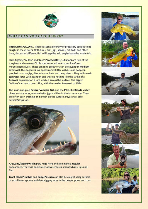 My publications - JAGUAR EXPLORER CAMP - GUYANA - Page 2-3 - Created ...