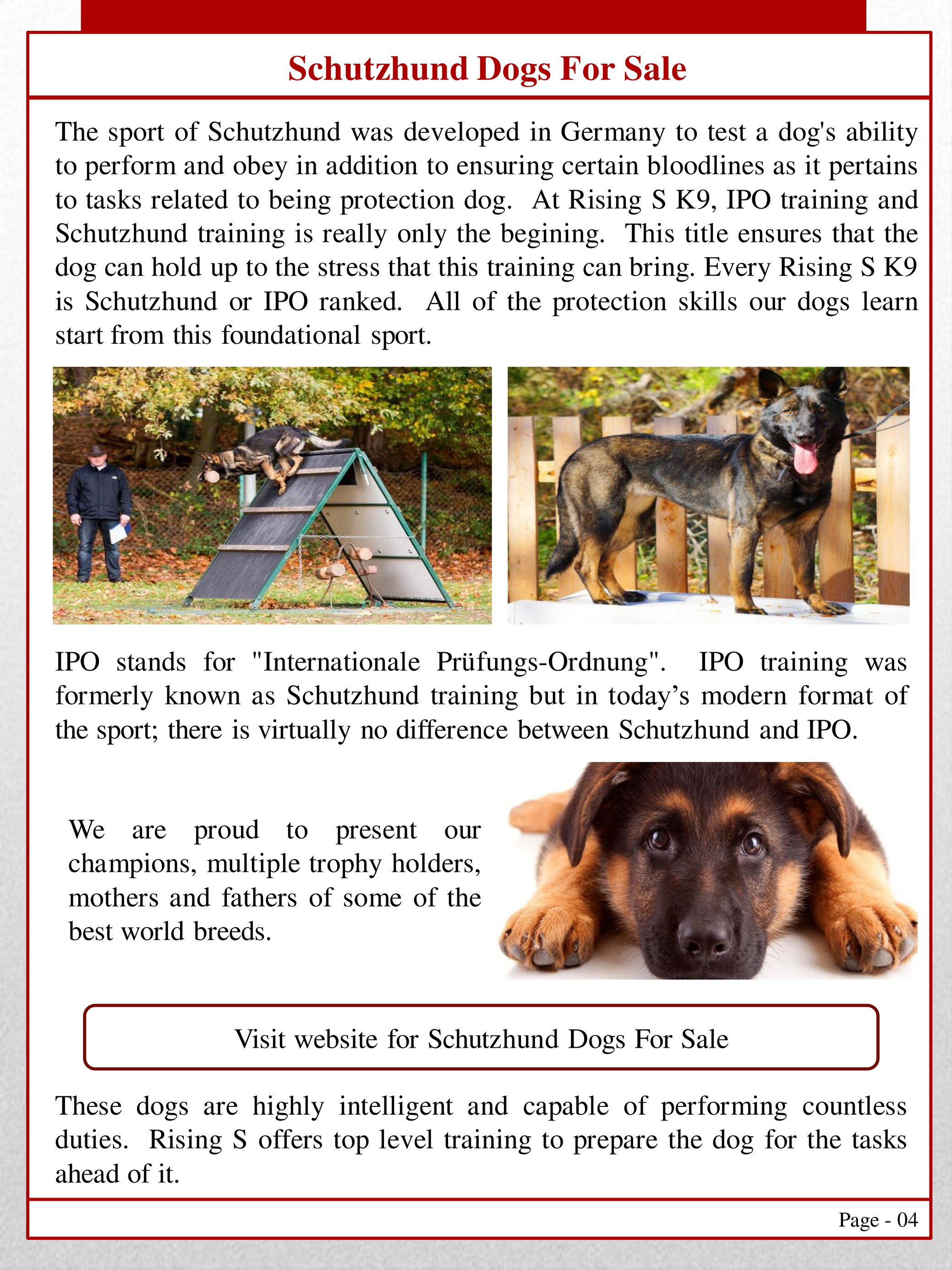 Schutzhund dogs best sale for sale