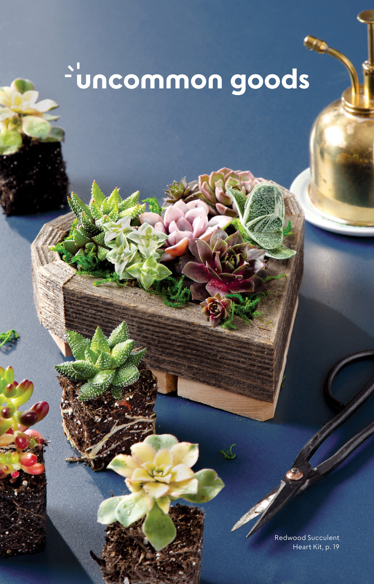 UG_Catalog_S22_MD Page 23 Created with