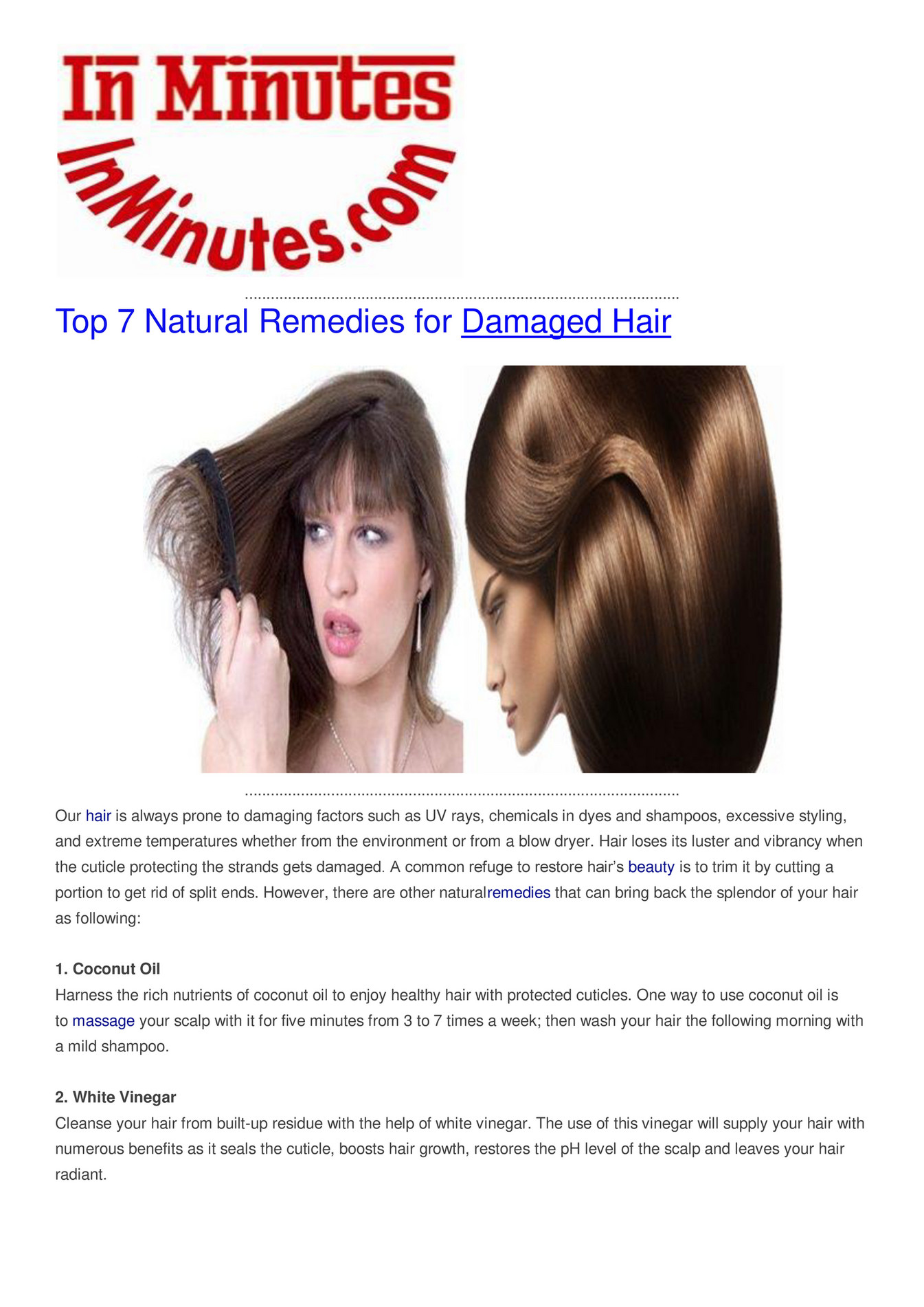 My Publications Top 7 Natural Remedies For Damaged Hair Page 2
