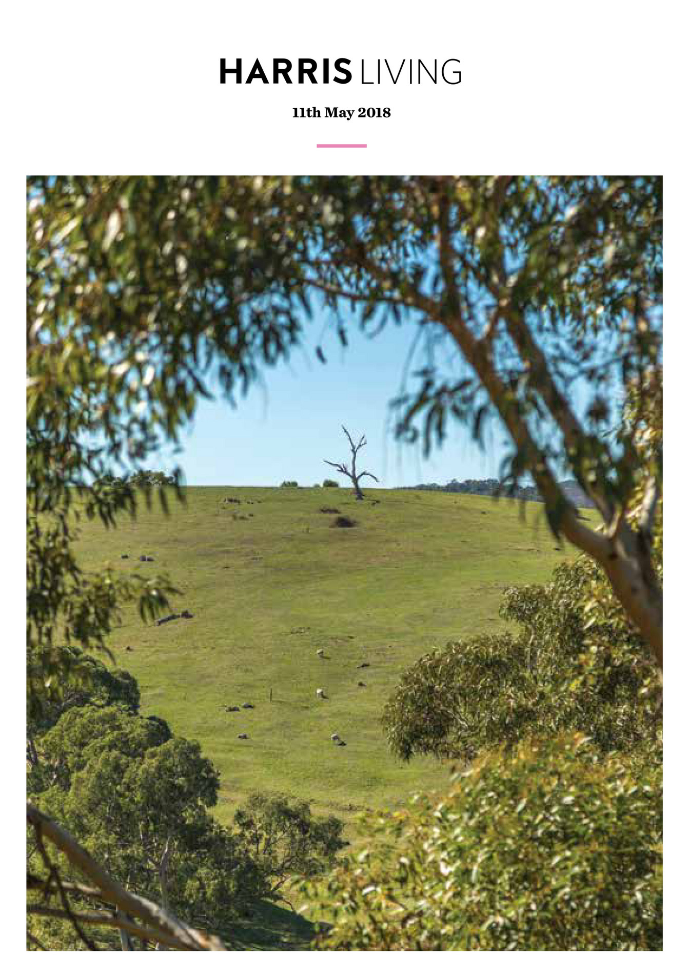 Harris Real Estate Harris Living 11th May Page 1