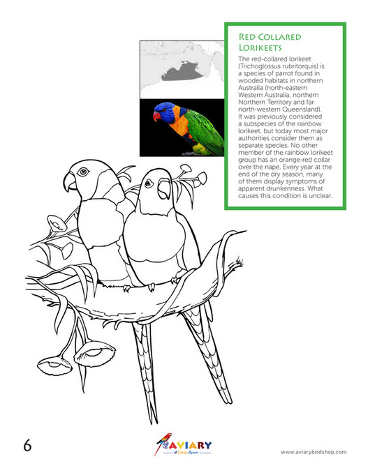 My publications - Aviary Coloring Book - Page 6-7 - Created with ...