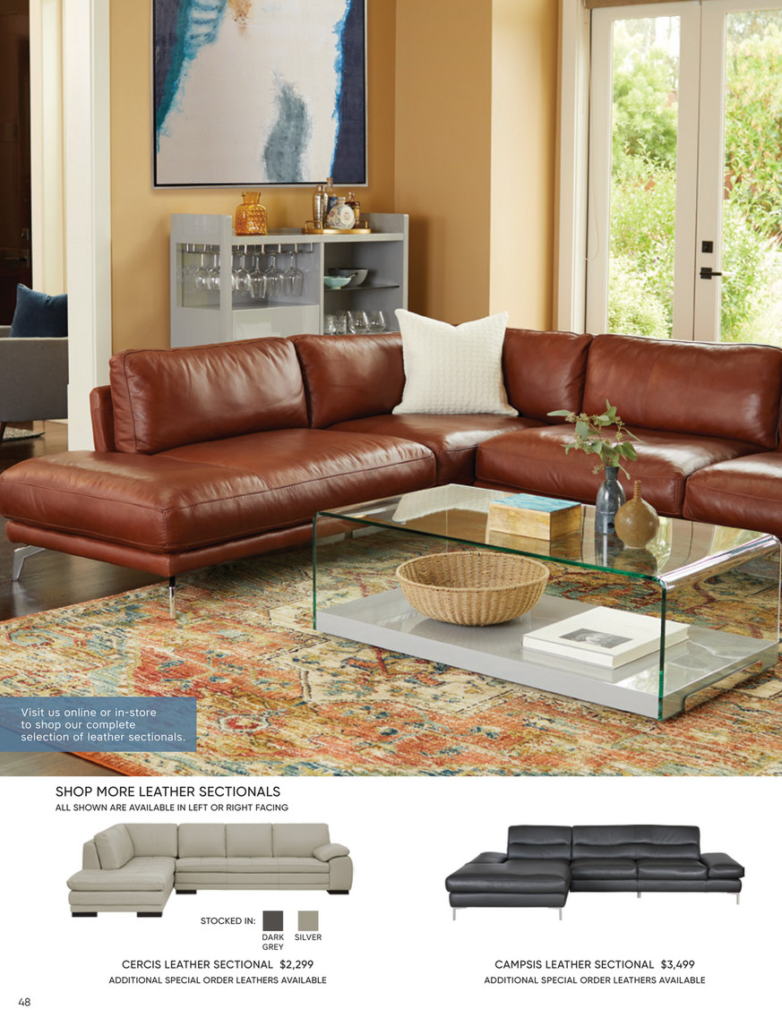 Peruna store leather sectional