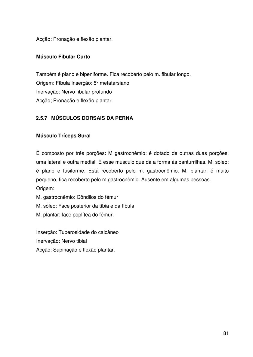 musculo tibial bottom origem e inserção