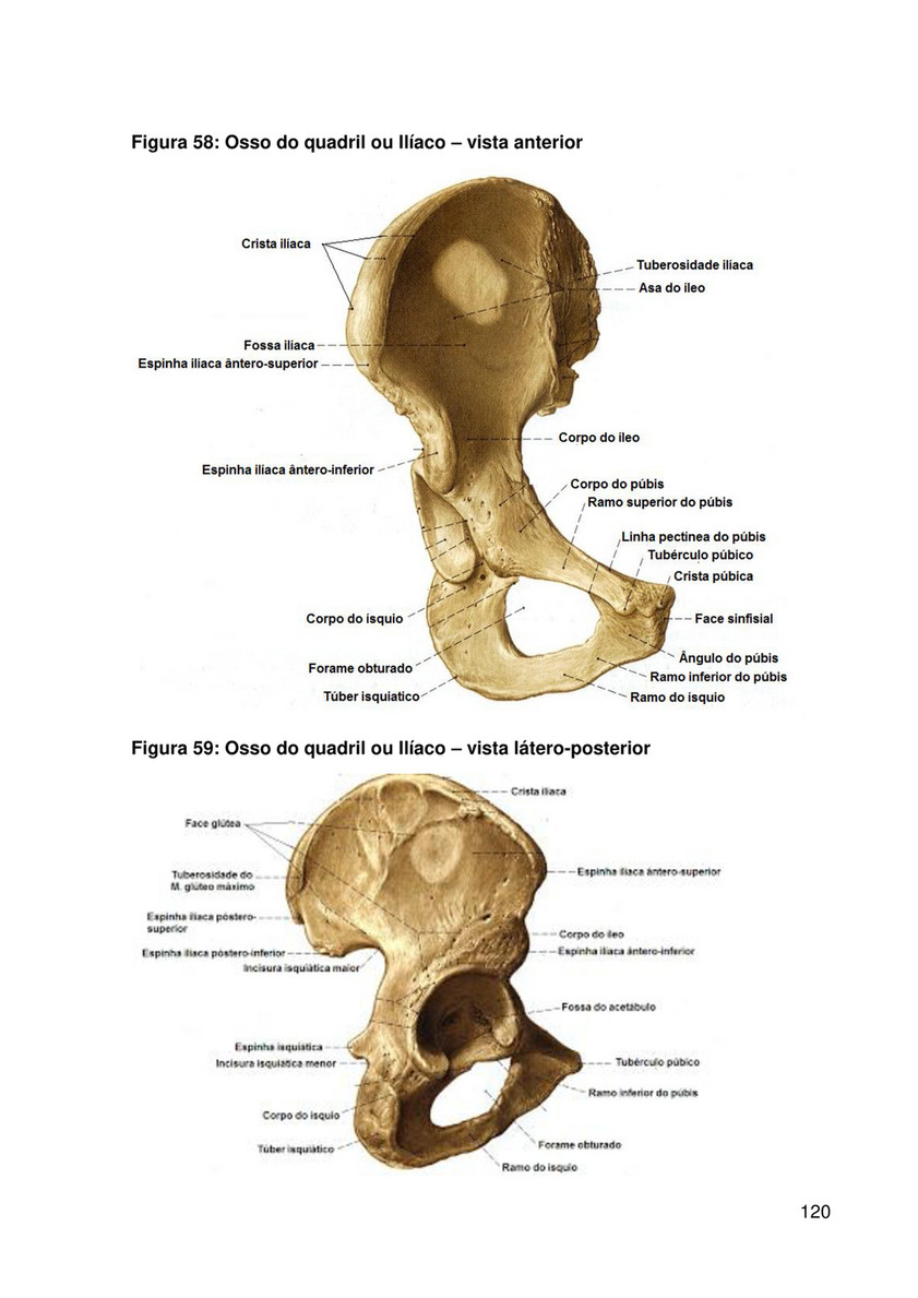 Chubby porno va anal