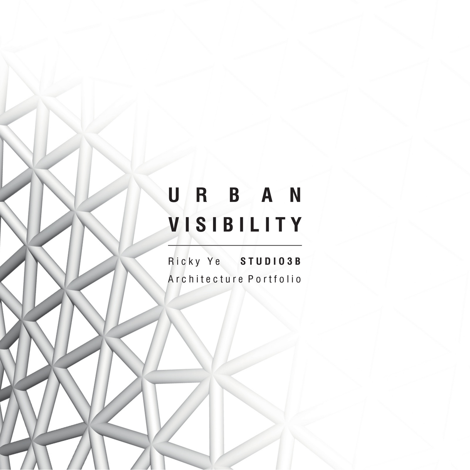 My publications URBAN VISIBILITY PORTFOLIO RICKY YE Page 1