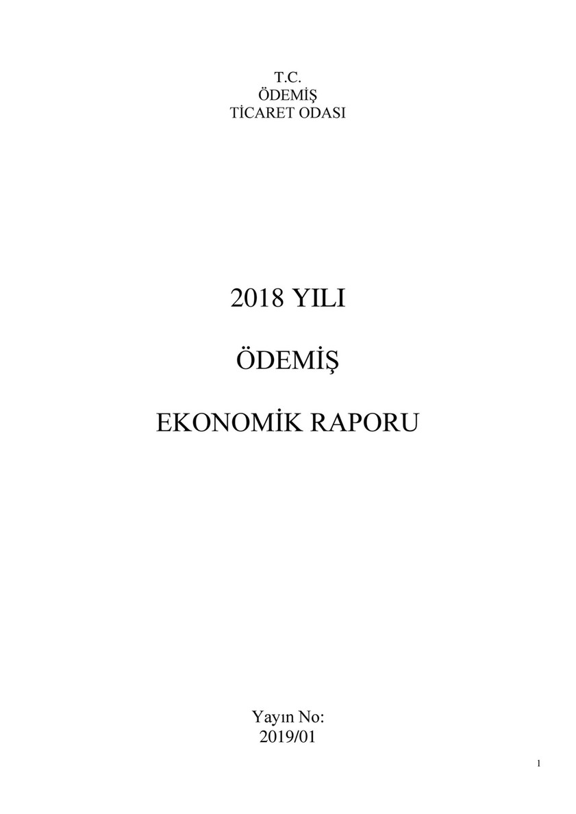 ÖDEMİŞ TSO - 2018 EKONOMİK RAPOR