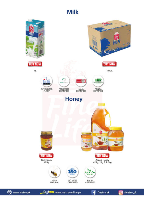 Fine Life Catalogue  - Page 8