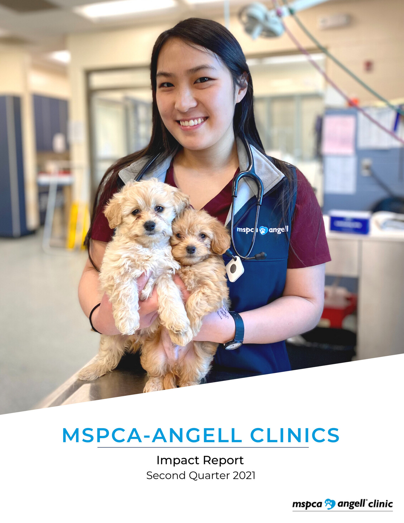 ABOUT SQUIRRELS MSPCA ANGELL visual data 3