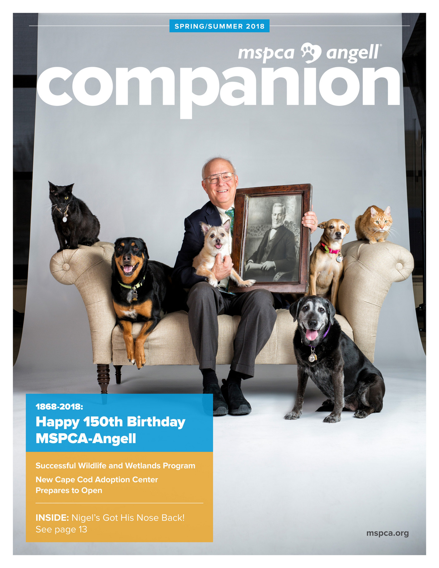 ABOUT SQUIRRELS MSPCA ANGELL visual data 4