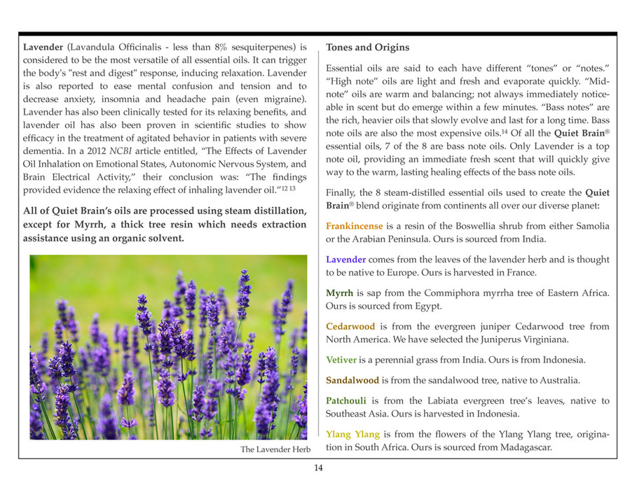 Laura Harris Smith Ministries QUIET BRAIN USER GUIDE Page 15 Created with