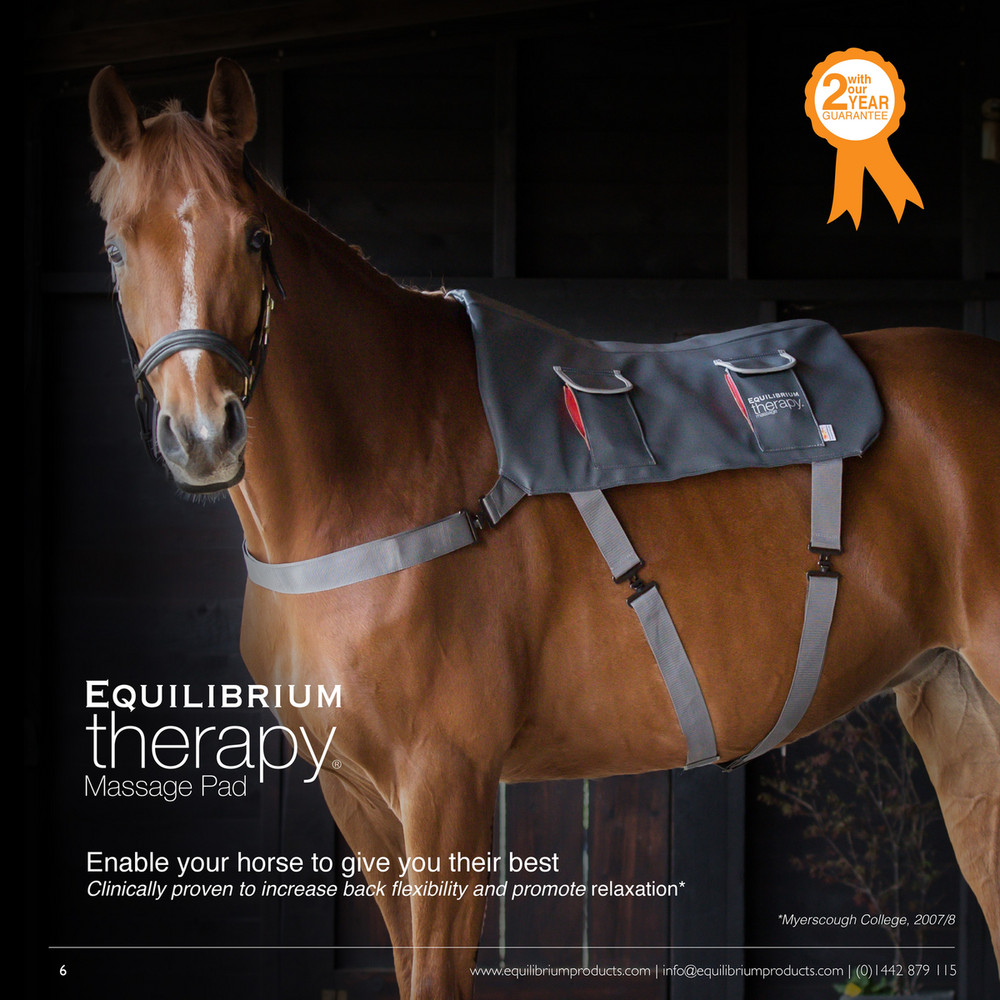 Equilibrium Horse Massage Pad, 2 Year Guarantee