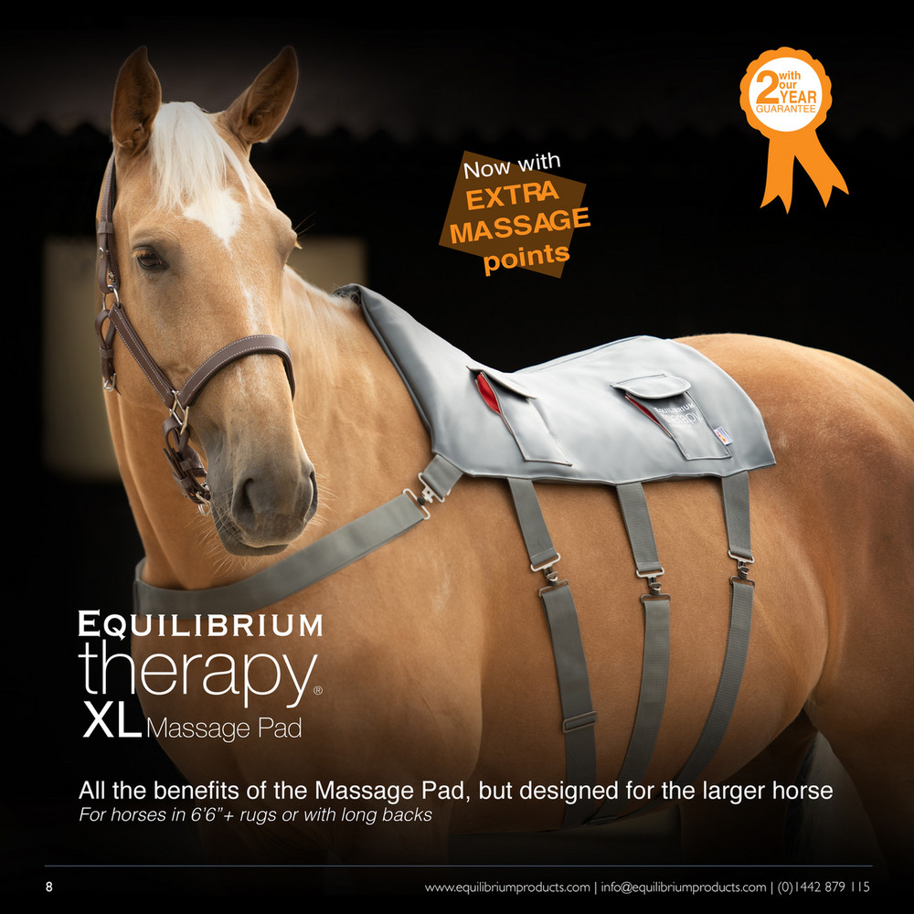 Equilibrium Horse Massage Pad, 2 Year Guarantee