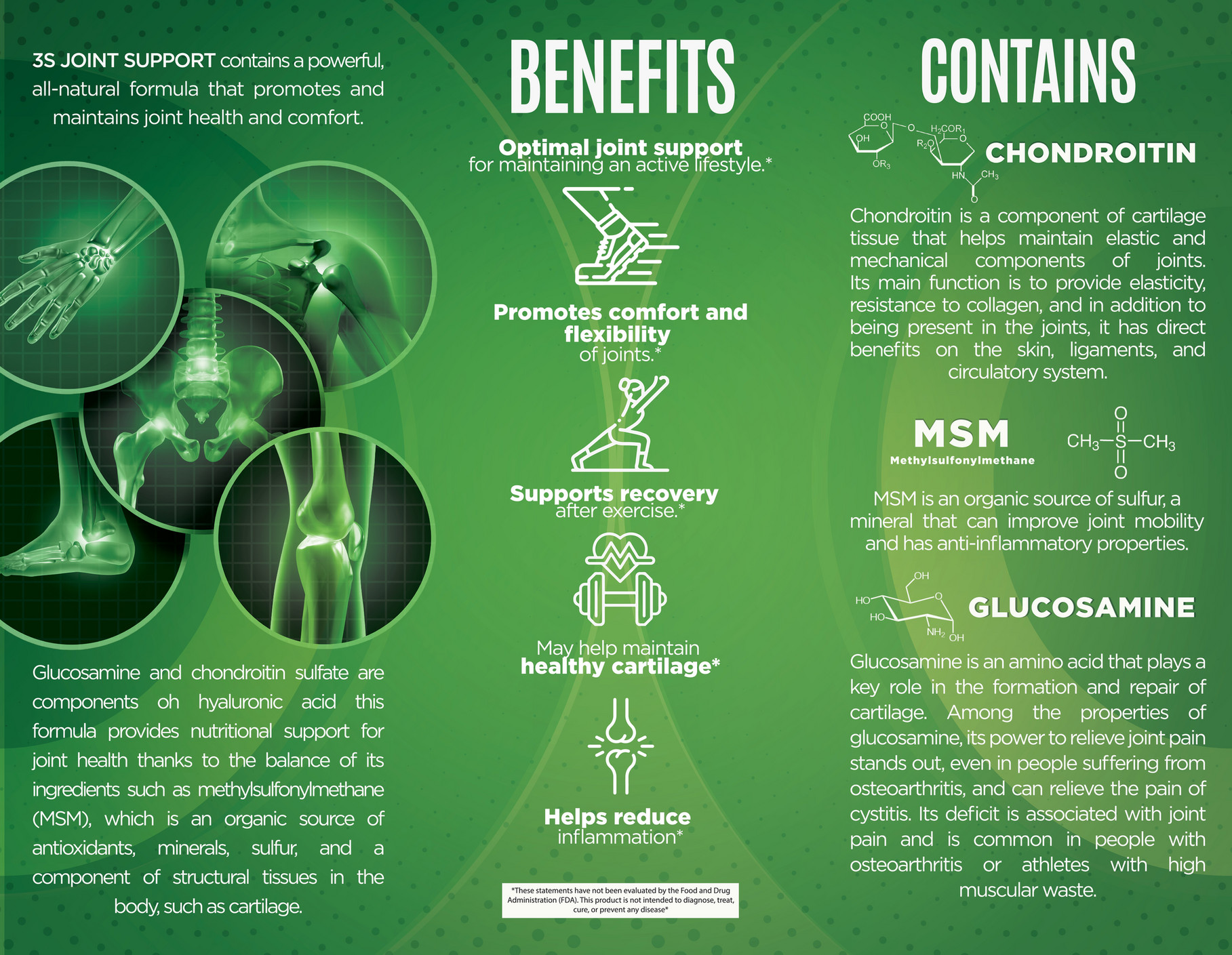 Hibody TRIPTICO 3S JOINT SUPPORT ENG Page 2 Created with