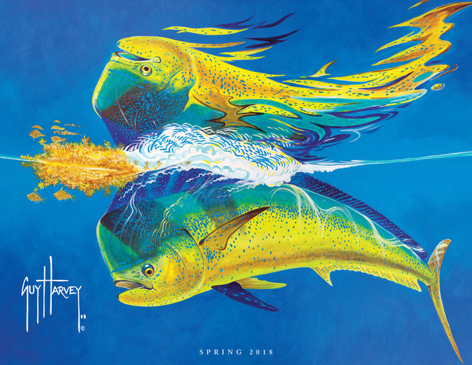 mahi mahi guy harvey wallpaper